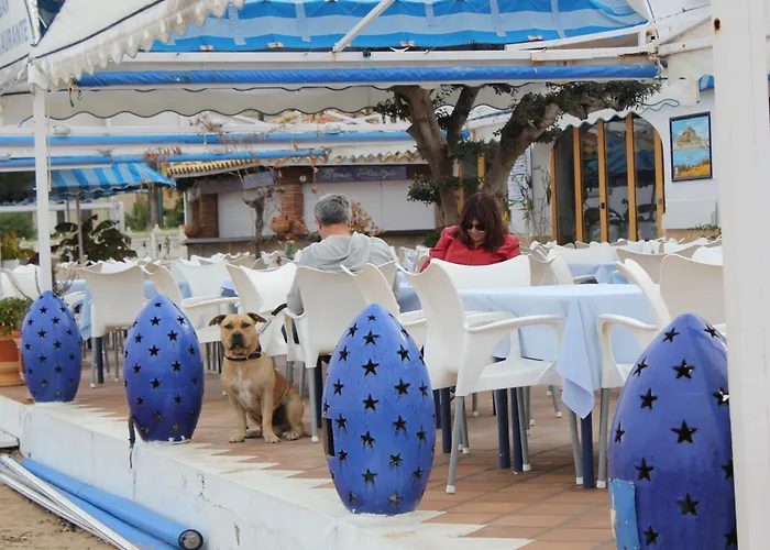 Trompeta Azul